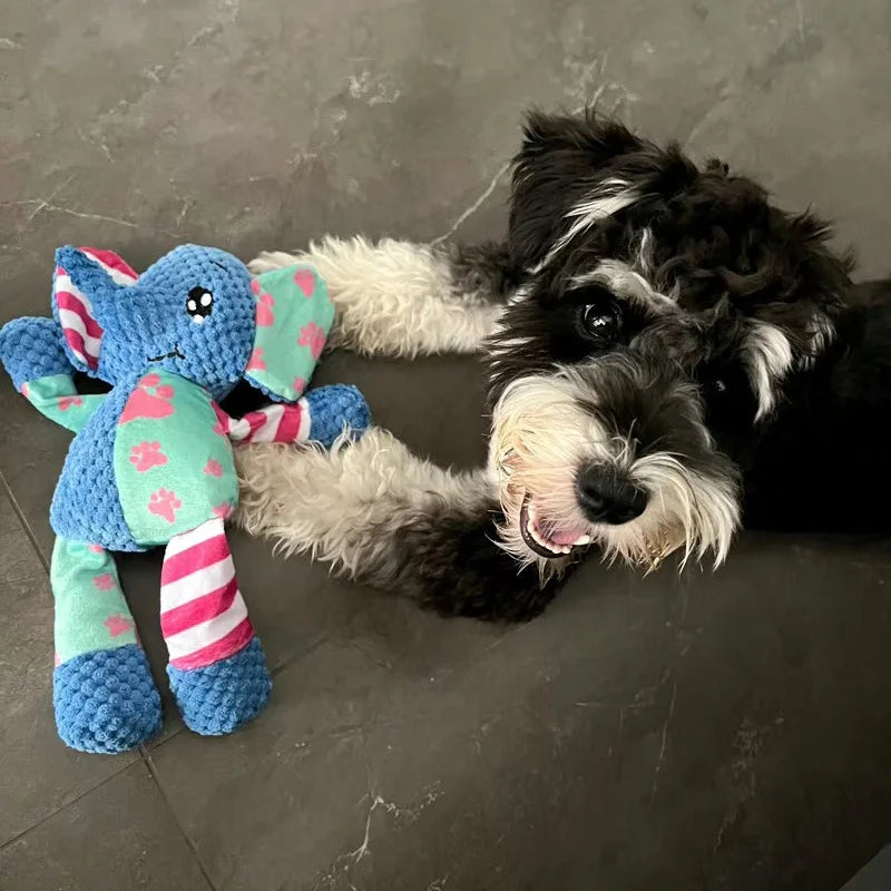 Fur Buddy Pet Chew Toy Various Selection