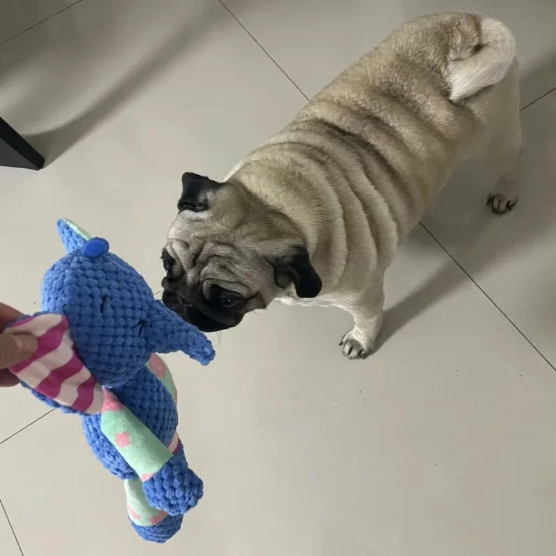 Fur Buddy Pet Chew Toy Various Selection